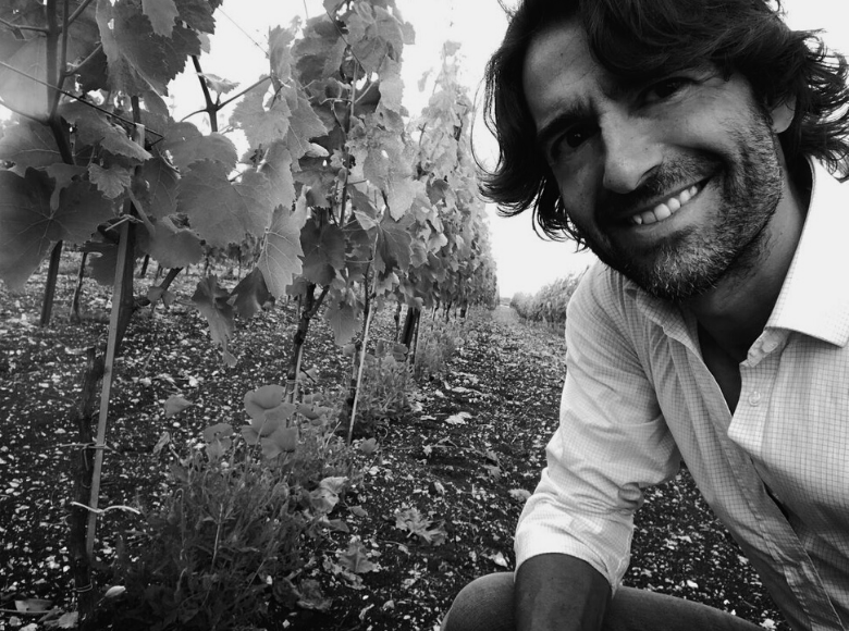 Hugo in the vineyard